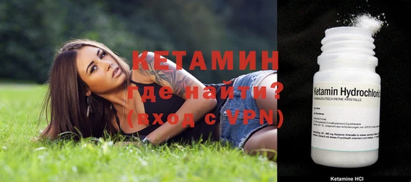 соль ск Инсар