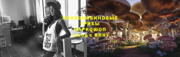 соль ск Инсар