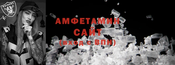 соль ск Инсар