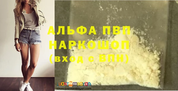 соль ск Инсар