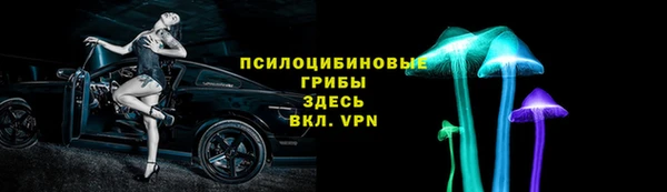 соль ск Инсар