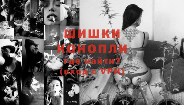 соль ск Инсар