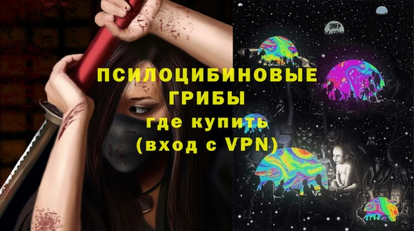 соль ск Инсар