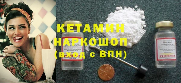 соль ск Инсар